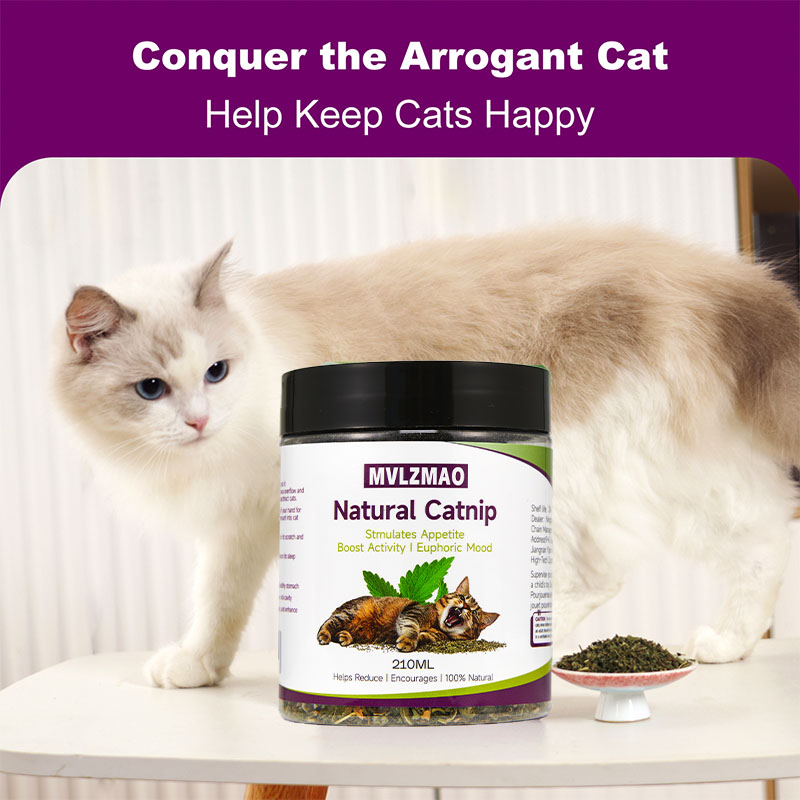 Cat Toys - Silvervine Catnip d – Herbal Wellness Supplement recenzja i cena