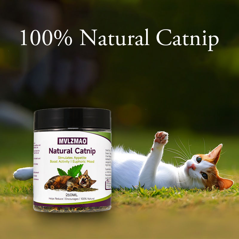 Cat Toys - Silvervine Catnip d – Herbal Wellness Supplement recenzja i cena