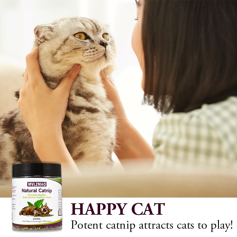 Cat Toys - Silvervine Catnip d – Herbal Wellness Supplement recenzja i cena